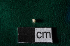 LDD 020V S039 (1-3mm)